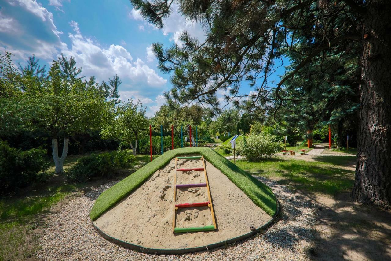 Zielony Ogrod Zabrze Exteriér fotografie